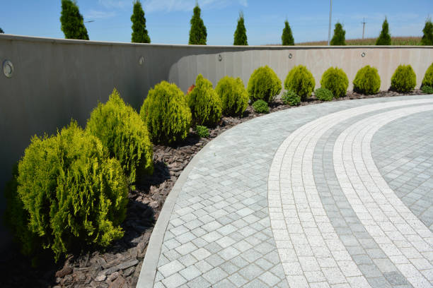 Best Decorative Driveway Paving in USA